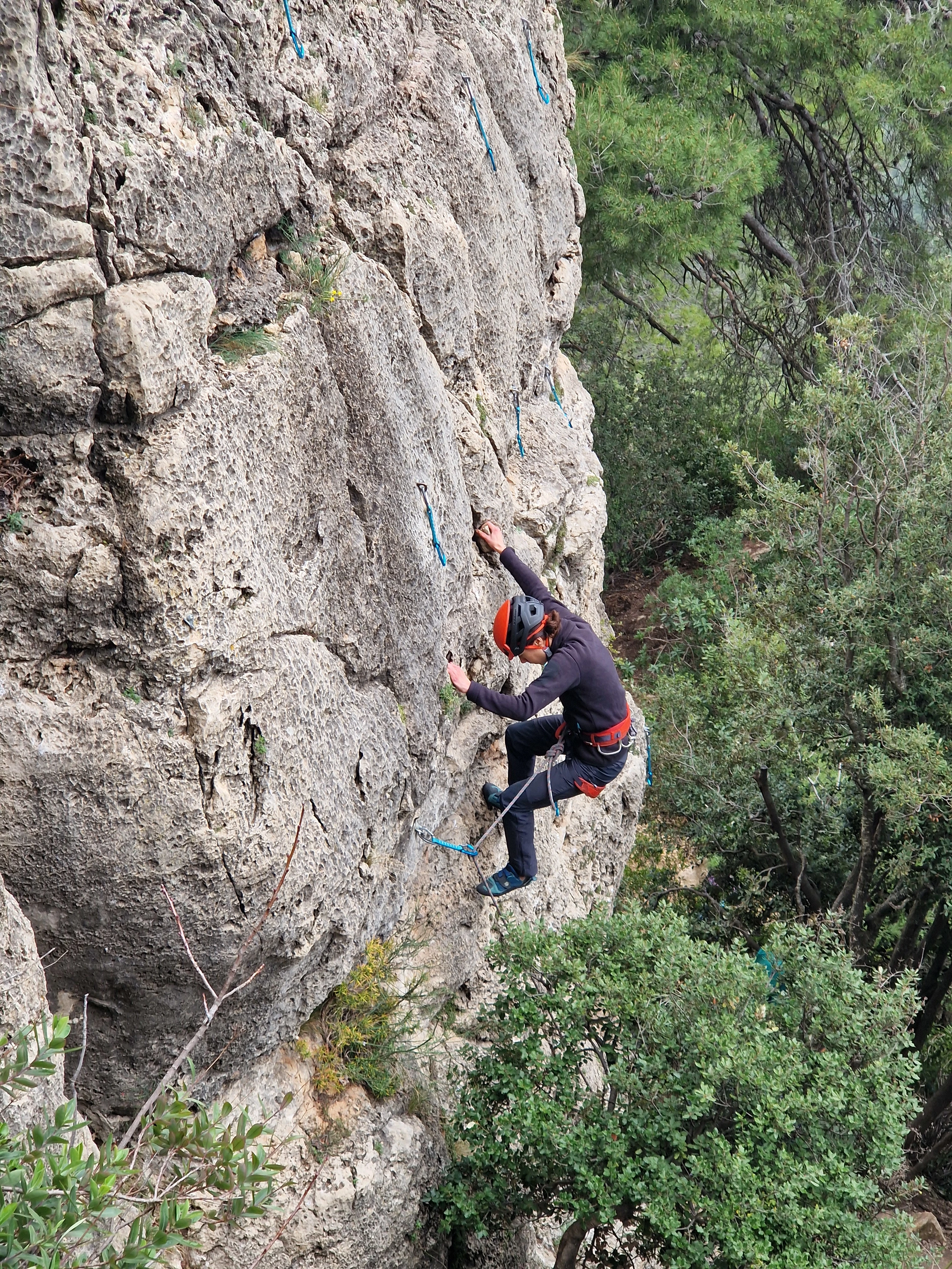 Imagen de actividad 2